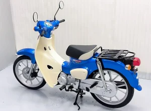 Super Cub c110