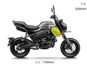 CFMoto Papio 125 XO2