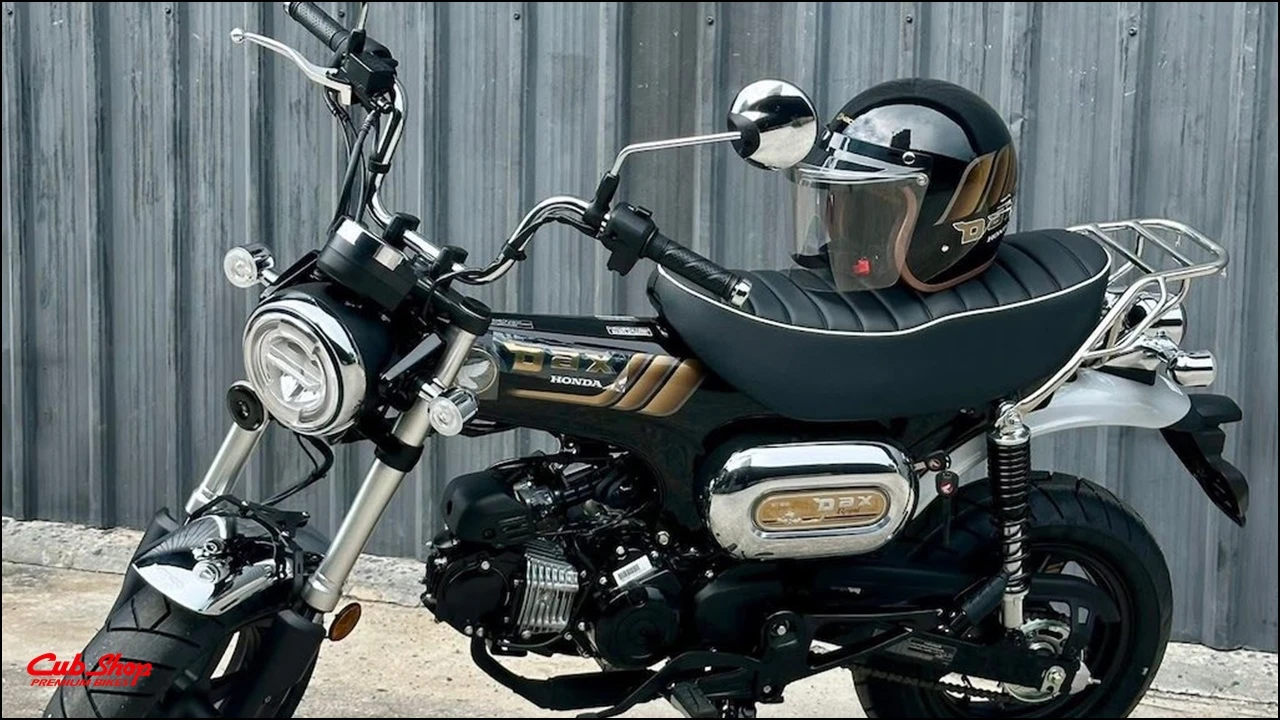 Honda DAX Royal Limited Editionb (5)