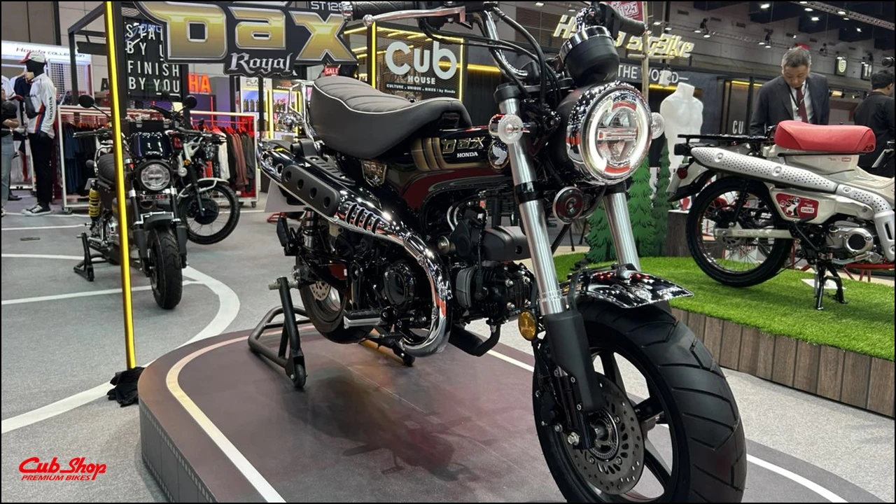 Honda DAX Royal Limited Editionb (7)