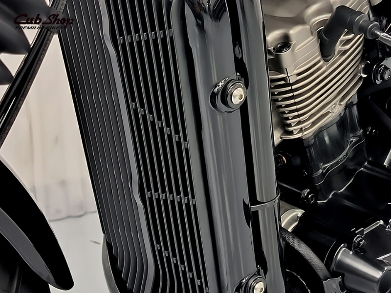 Hyosung GV300S