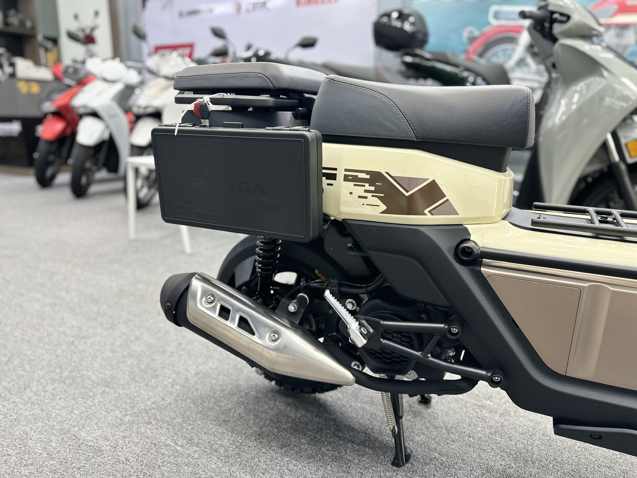 square x125 vàng cát