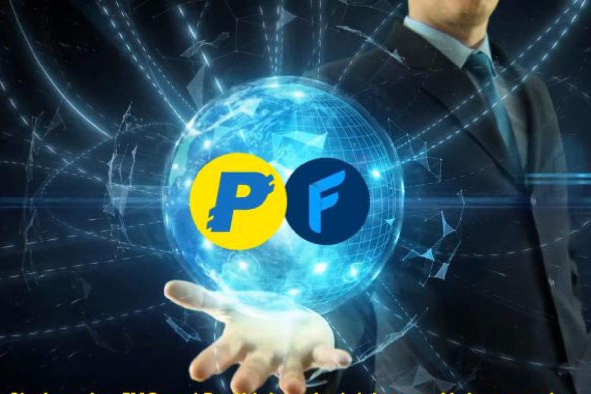 PayNet Coin (PAYN) là gì? Những thông tin hữu ích