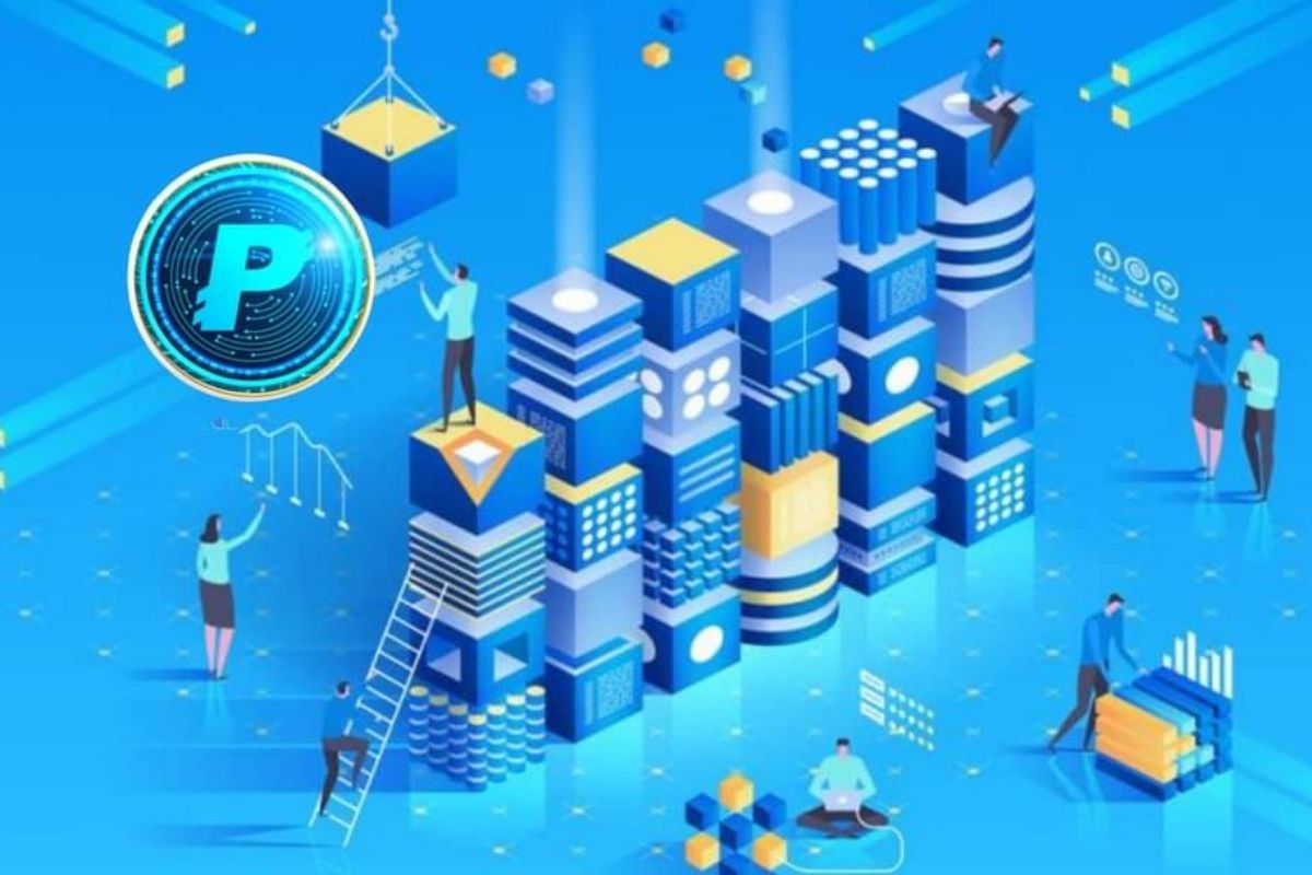 PayNet Coin (PAYN) là gì? Những thông tin hữu ích