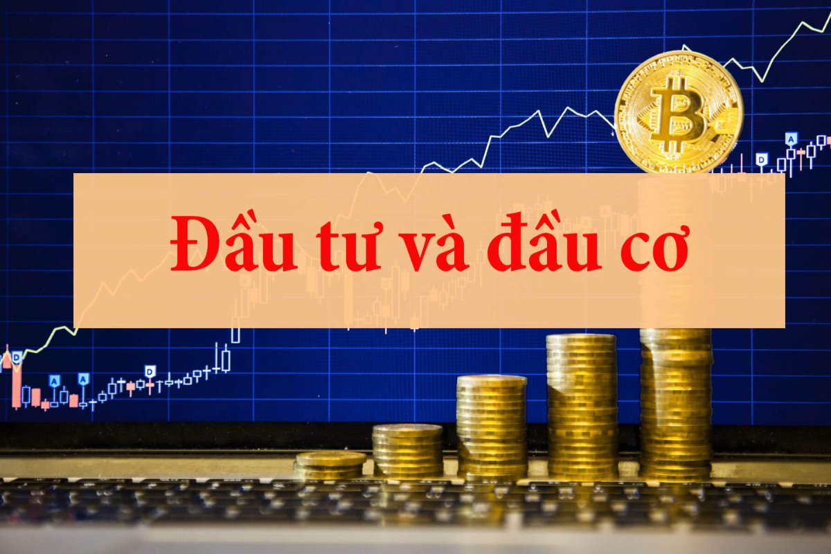 Phân Biệt Đầu Cơ và Đầu Tư: Lựa Chọn Chiến Lược Phù Hợp