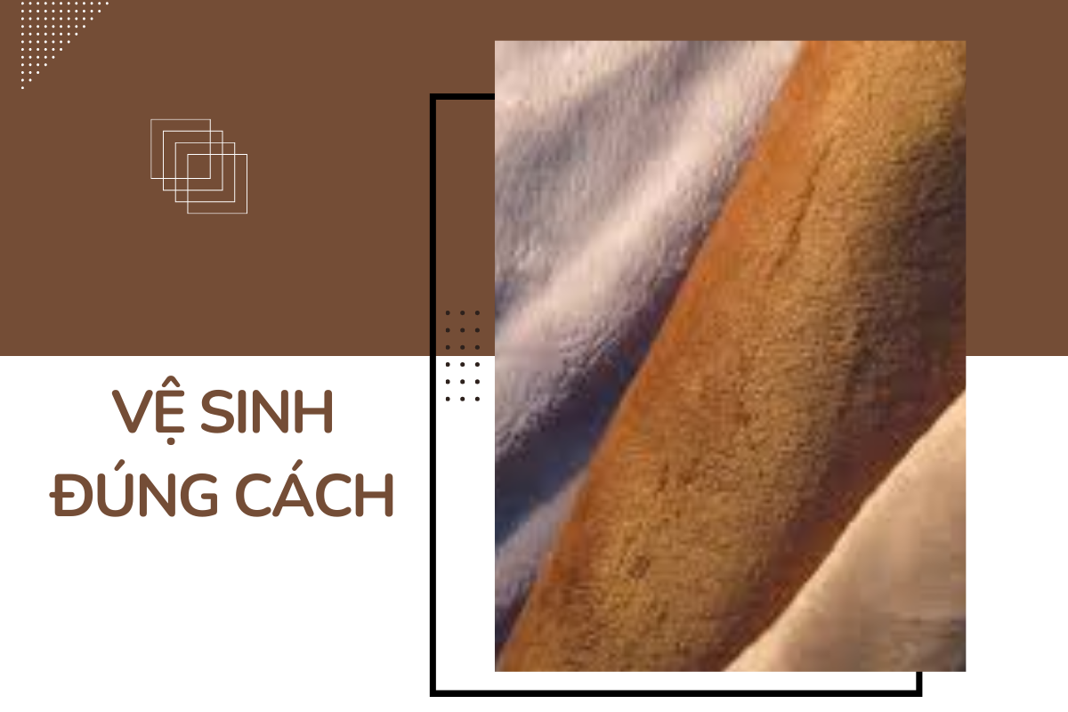 hãy mang lông thú đến các cửa hàng chuyên nghiệp để làm sạch