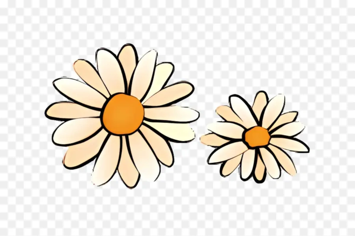 Họa tiết daisy trong những năm gần đây được sử dụng rất phổ biến để làm điểm nhấn trang trí trên đồ thời trang
