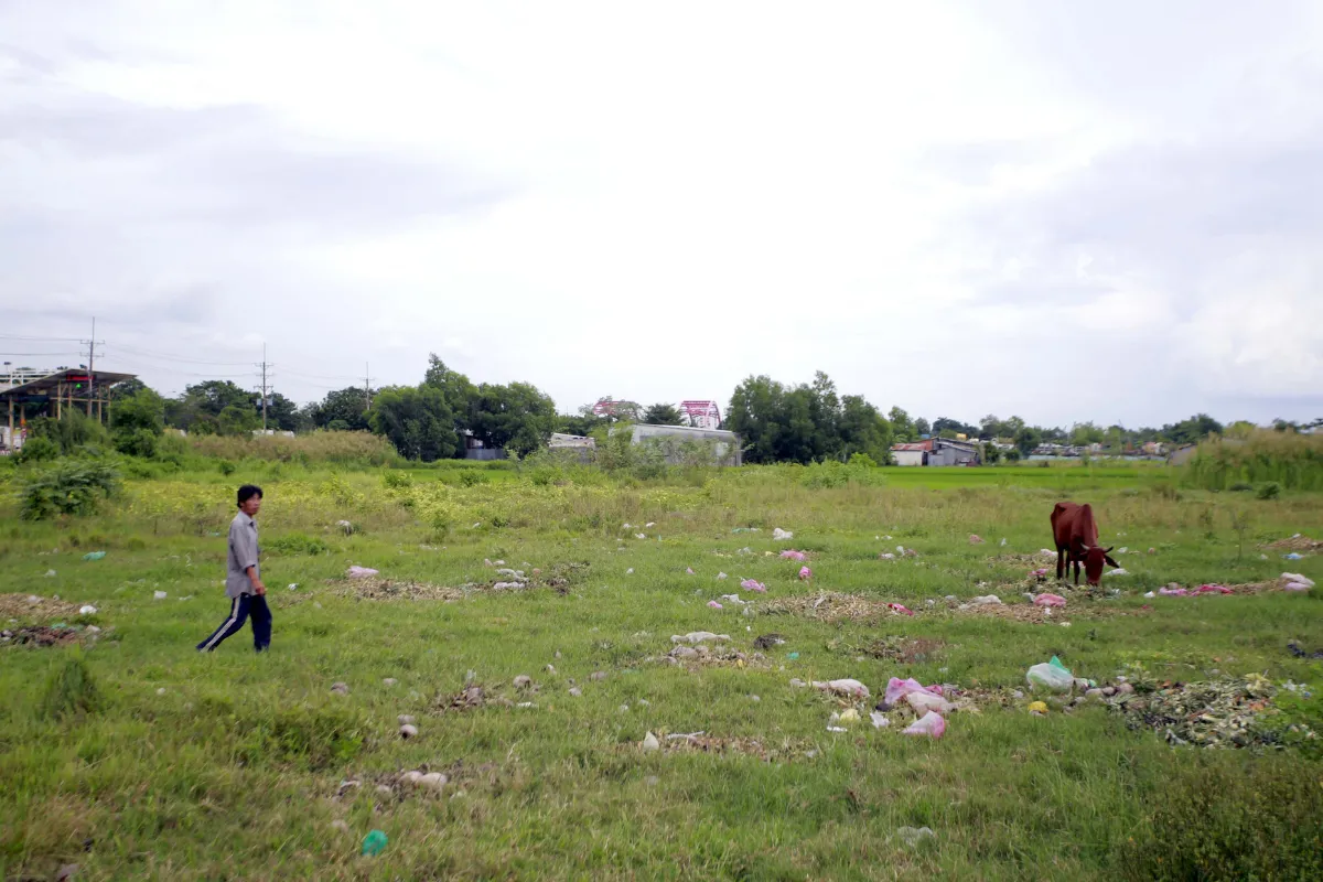 chuyển đổi đất hỗn hợp