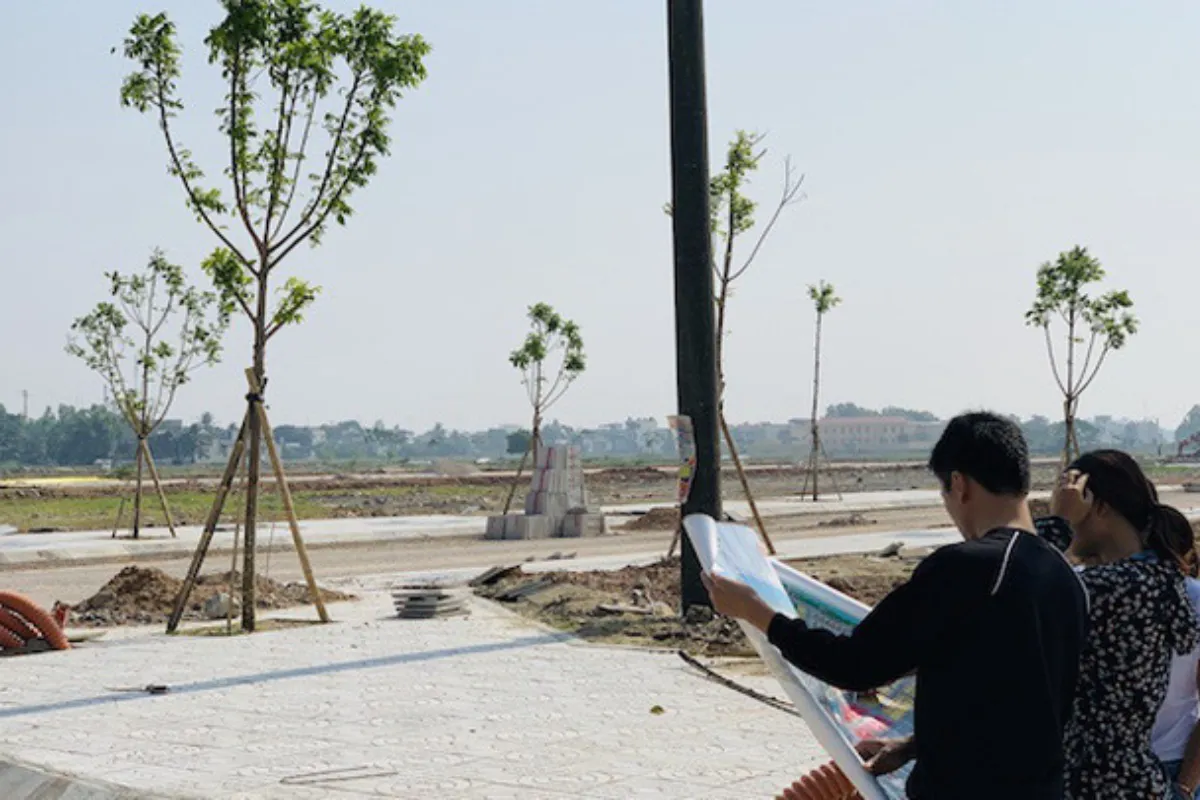 đất SON