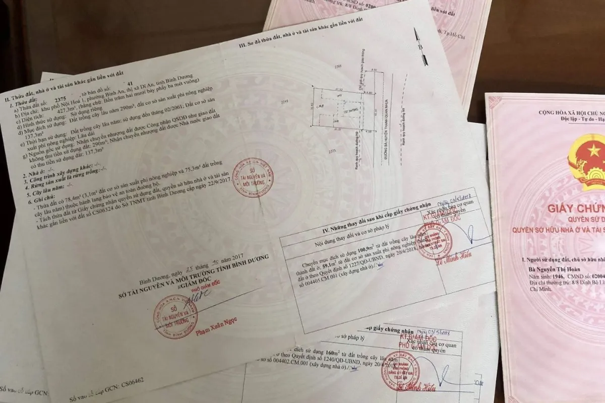 trích lục địa chính
