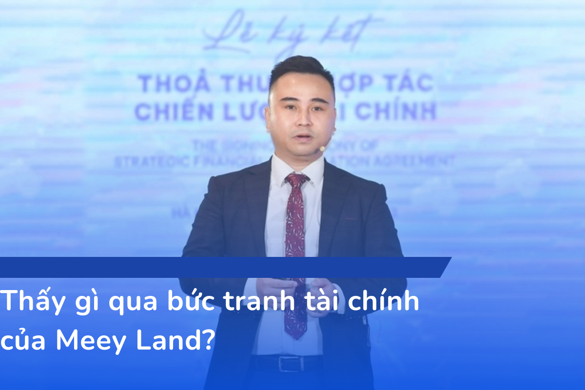 Thấy gì qua bức tranh tài chính của Meey Land