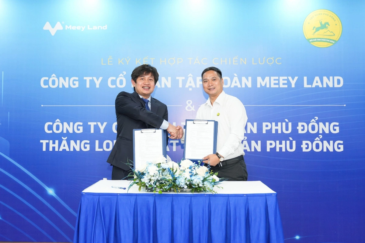 Sáng lập và phát triển Meey Group