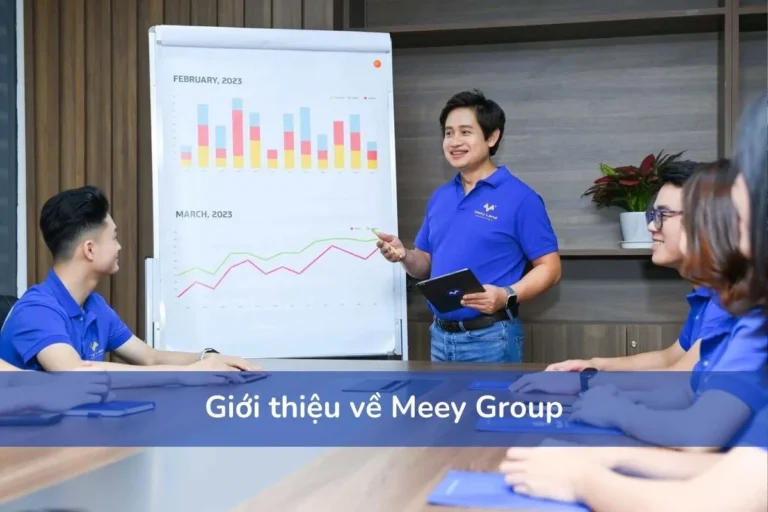 Giới thiệu về Meey Group