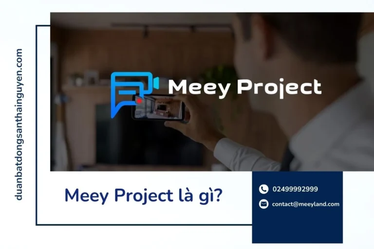 Meey Project là gì?