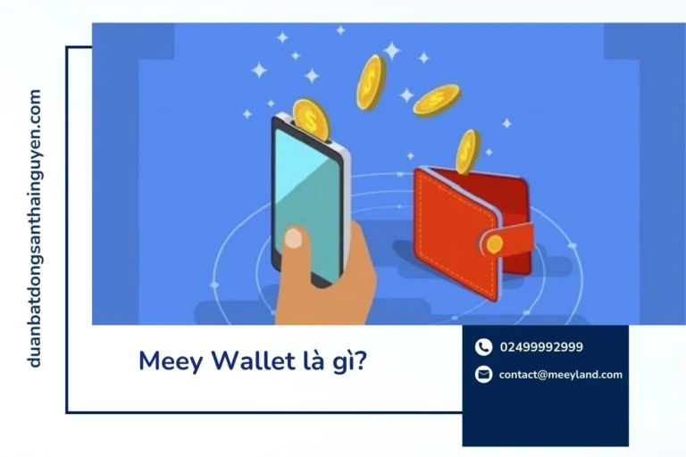 Meey Wallet là gì? 