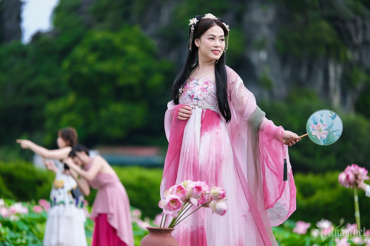 Đầm sen ở Ninh Bình nở rộ đẹp mê ly thu hút các bạn trẻ đến "săn ảnh"