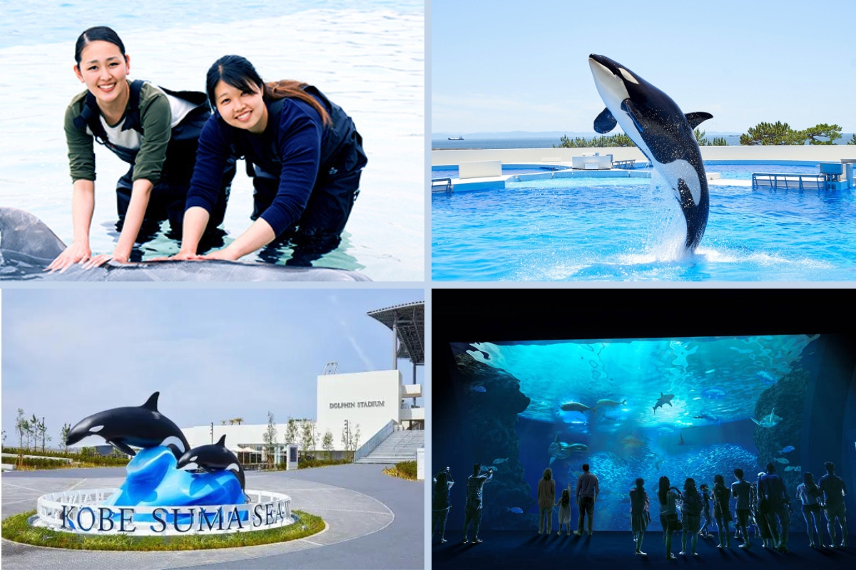 Hồ Cá heo Dolphin Lagoon đầu tiên tại Nhật Bản được quản lý bởi khách sạn Kobe Suma Sea World.