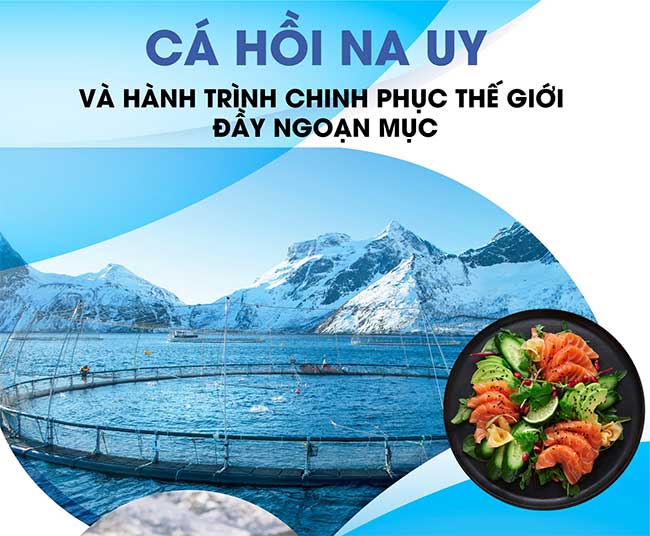 Khám phá công nghệ nuôi cá hồi xịn sò ở Na Uy
