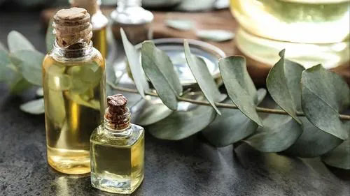 Dầu khuynh diệp từ lâu đã được thêm vào thành phần của thuốc chống côn trùng.