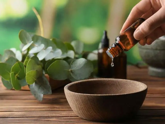 Không được uống tinh chất dầu khuynh diệp trực tiếp.