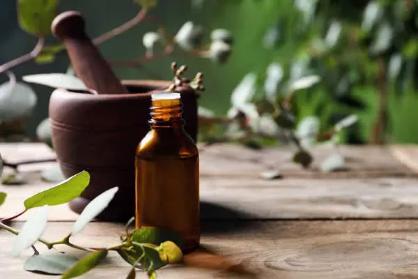 Dầu khuynh diệp có mùi thơm ấm đặc trưng.