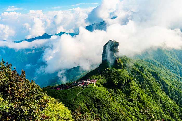 Trên dãy núi Hoàng Liên Sơn, có một loài cá vô cùng đặc biệt được gọi là cá đắng.