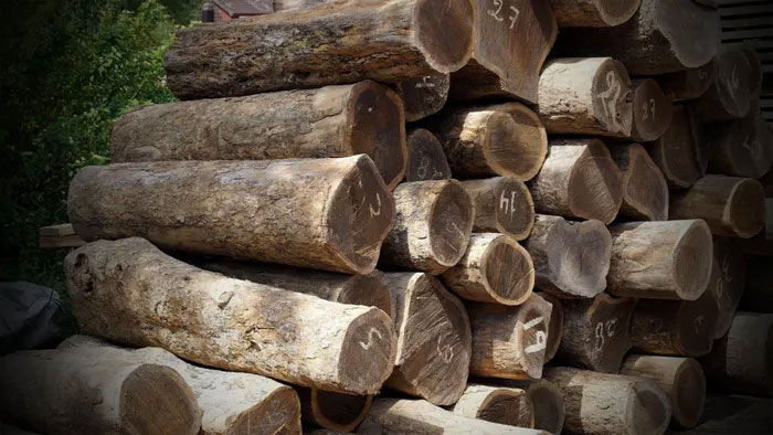 Màu sắc của gỗ có xu hướng tối dần theo thời gian.