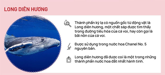 Long diên hương