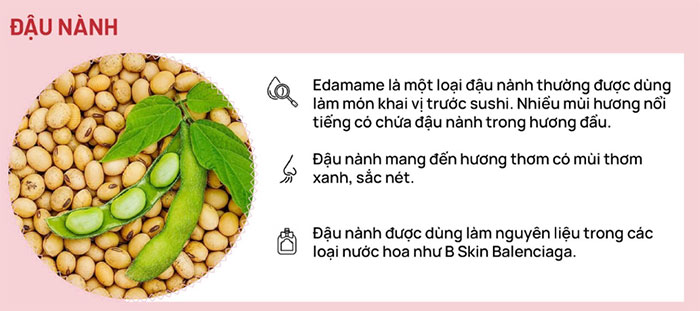 Đậu nành