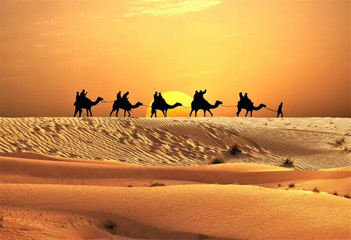 Sa mạc Sahara từng là rừng rậm