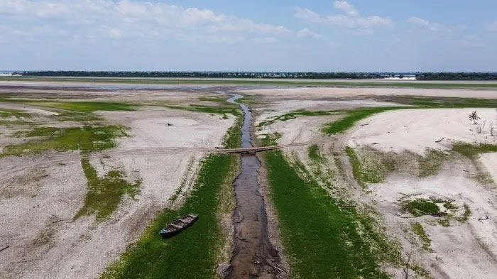 Sông Rio Negro - một nhánh của sông Amazon - cạn trơ đáy do hạn hán.