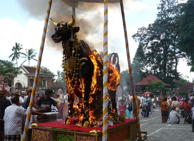 Cỗ quan tài hình con bò ở Bali.
