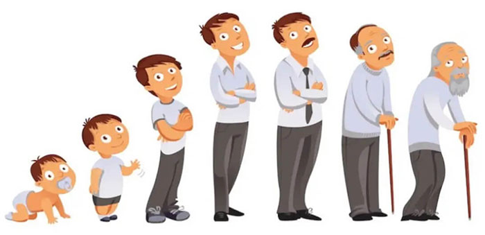 Mỗi chúng ta sẽ đạt đỉnh về sự phát triển chiều cao và cân nặng khi ở độ tuổi trưởng thành.