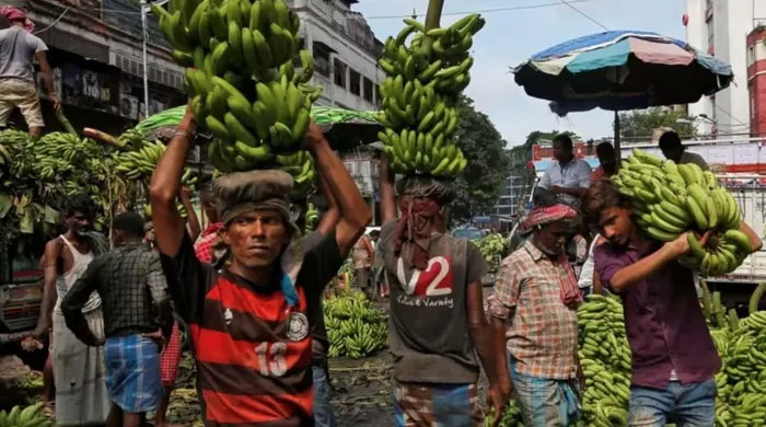 Công nhân dỡ chuối khỏi xe tải tại một khu chợ ở Kolkata.
