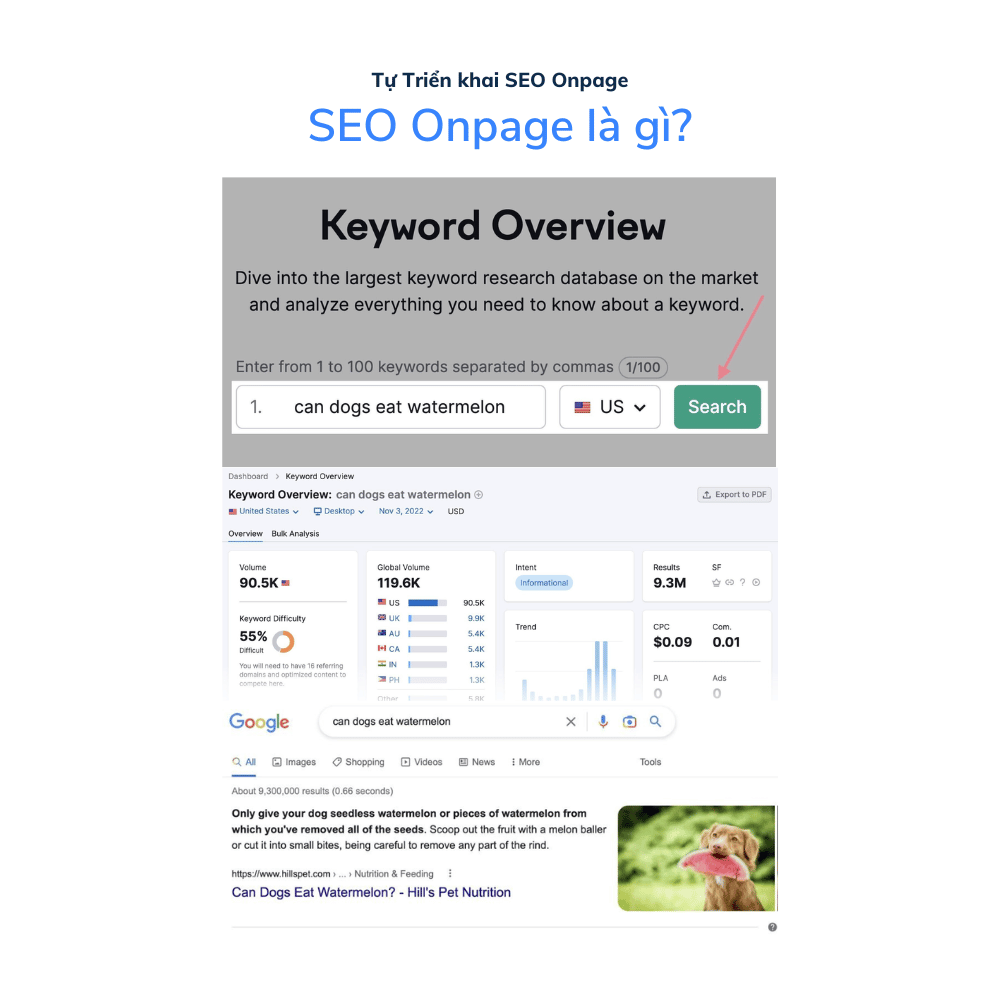 Xem ảnh 26: Semrush có công cụ Keyword Overview tool để kiểm tra có từ khóa nào đã được kích hoạt Featured Snippets. Ví dụ cụm từ “can dogs eat watermelon.” Và GFS đã được kích hoạt như bên dưới.