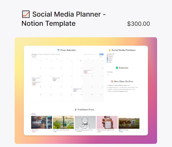 Mẫu Social Media Planner trị giá 300 USD mà Ian Dikhtiar đang bán
