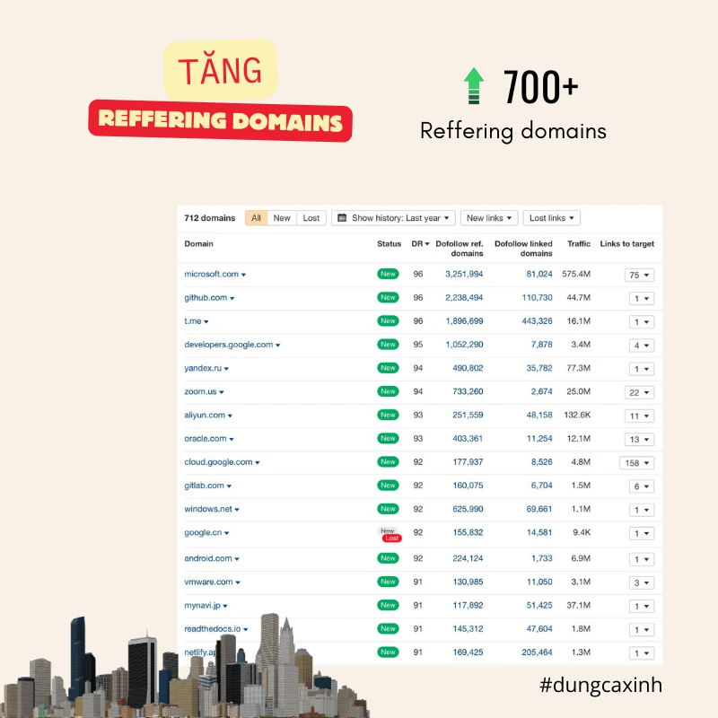 SEO Case Study - Có tự nhiên hơn 700 Referring Domains xin 02