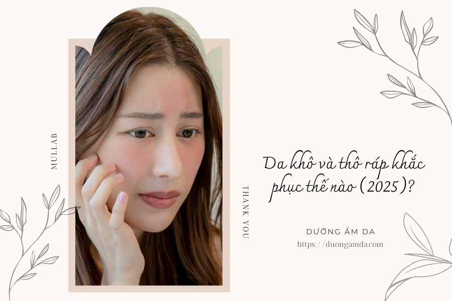 Da khô và thô ráp khắc phục thế nào (2025)