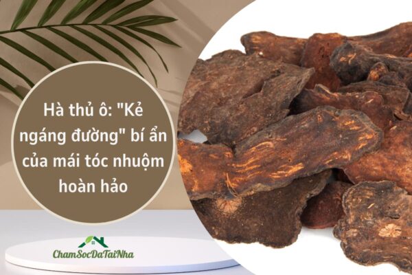 Hà thủ ô Kẻ ngáng đường bí ẩn của mái tóc nhuộm hoàn hảo
