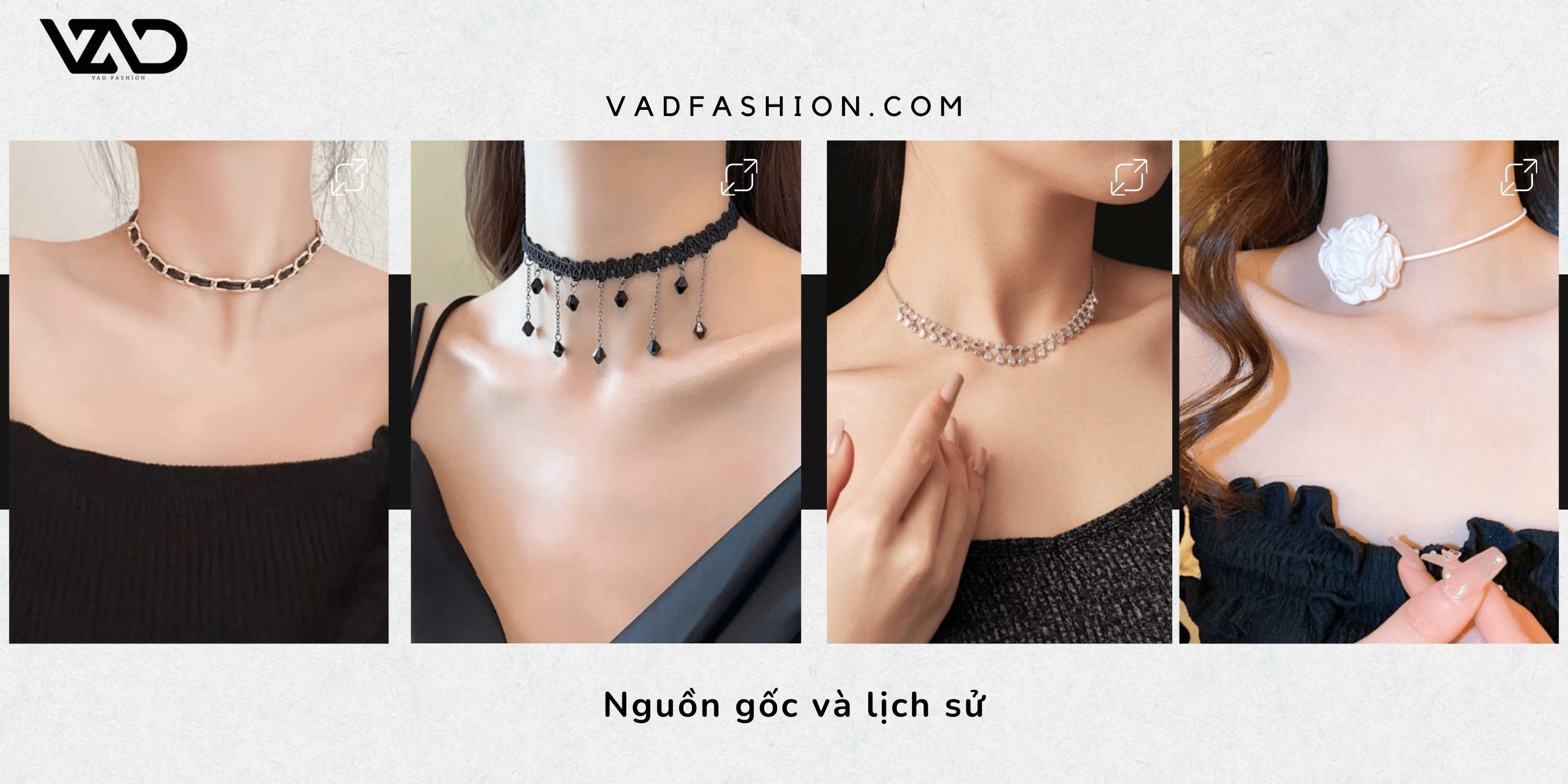 Nguồn gốc và lịch sử