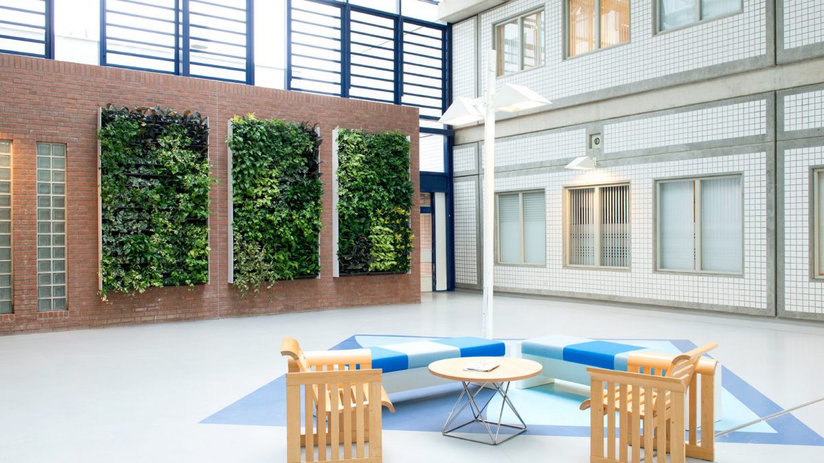 Nâng tầm ngôi nhà của bạn với thiết kế vườn tường xanh