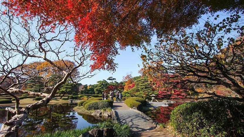 Vườn Đông cung điện Hoàng gia (Tokyo)