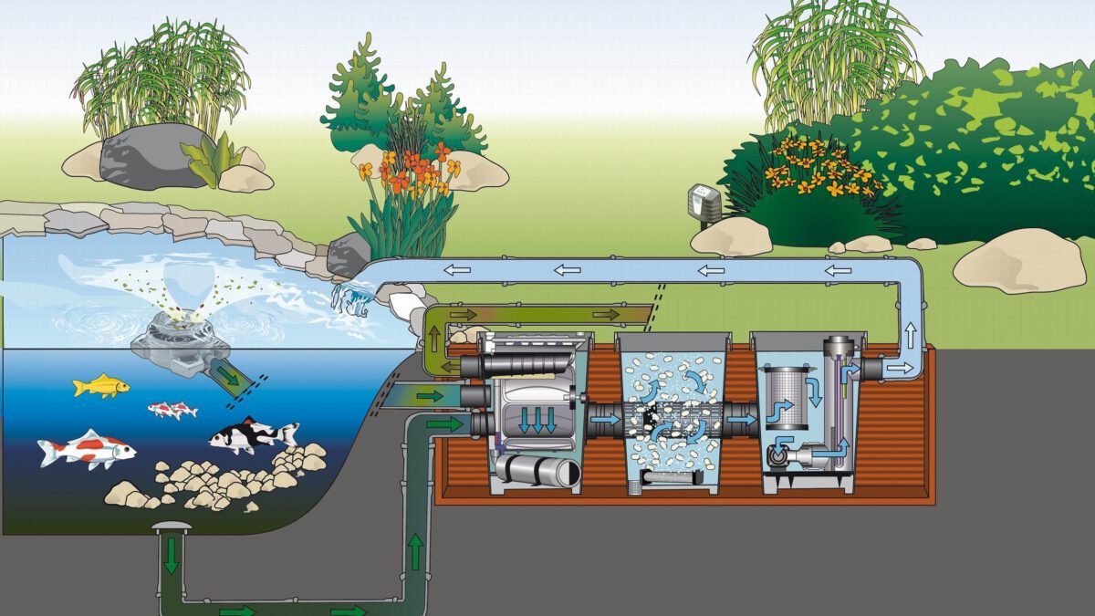 Top 10 bộ lọc hồ cá Koi tốt nhất hiện nay – cập nhật ngày 07/02/2021