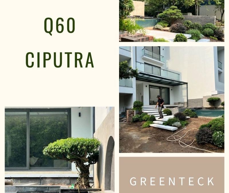 [Nhật ký] Dự án đã triển khai: Greenteck triển khai công trình cải tạo sân vườn tại Q60 Ciputra, Hà Nội – Chi tiết công việc ngày 22/06/2022