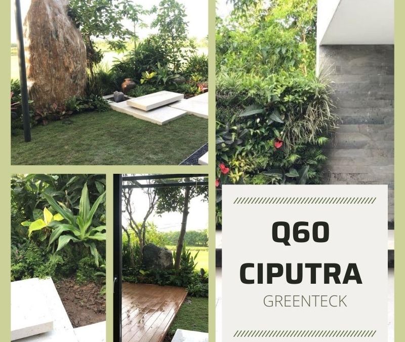 [Nhật ký] Dự án đã triển khai: Greenteck triển khai công trình cải tạo sân vườn tại Q60 Ciputra, Hà Nội – Chi tiết công việc ngày 03/06/2022