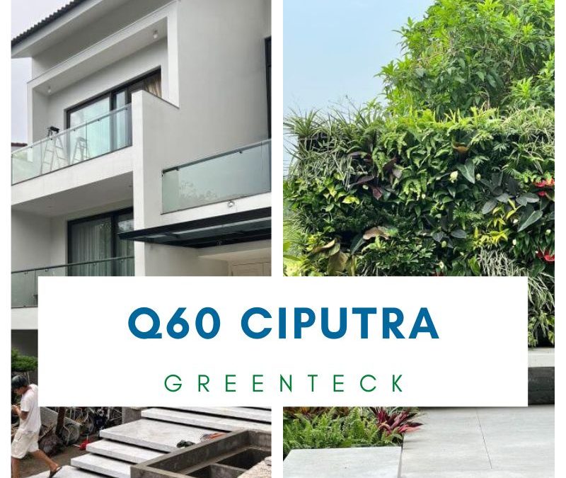 [Nhật ký] Dự án đã triển khai: Greenteck triển trai công trình cải tạo sân vườn tại Q60 Ciputra, Hà Nội – Chi tiết công việc ngày 10/06/2022
