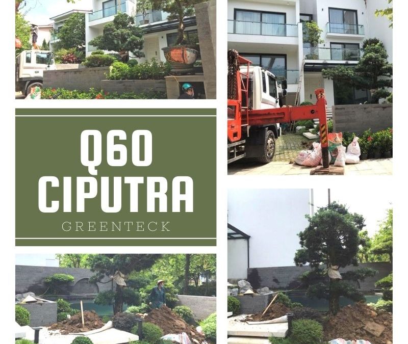 [Nhật ký] Dự án đã triển khai: Greenteck triển khai công trình cải tạo sân vườn tại Q60 Ciputra, Hà Nội – Chi tiết công việc ngày 26/07/2022