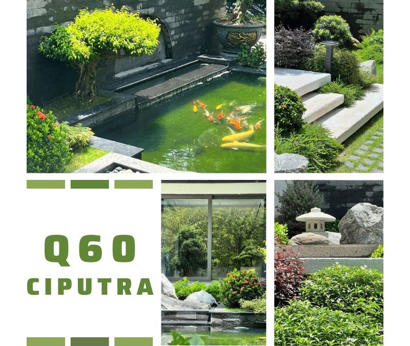 [Nhật ký] Dự án đã triển khai: Greenteck hoàn thiện công trình cải tạo sân vườn tại Q60 Ciputra, Hà Nội – 22/08/2022