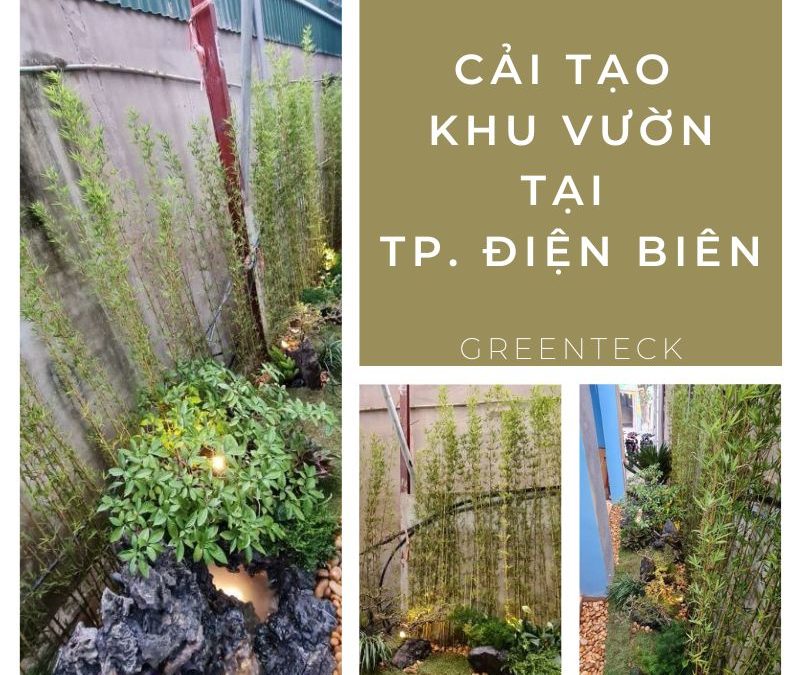 [Nhật ký] Dự án đã triển khai: Greenteck hoàn thiện công trình cải tạo khu vườn tại Thành phố Điện Biên