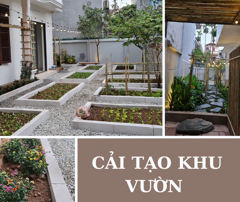 [Nhật ký] Dự án đã triển khai: Greenteck triển khai và hoàn thiện công trình biến vườn rau đẹp như vườn hoa